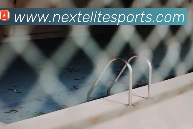 球赛投注平台生态图